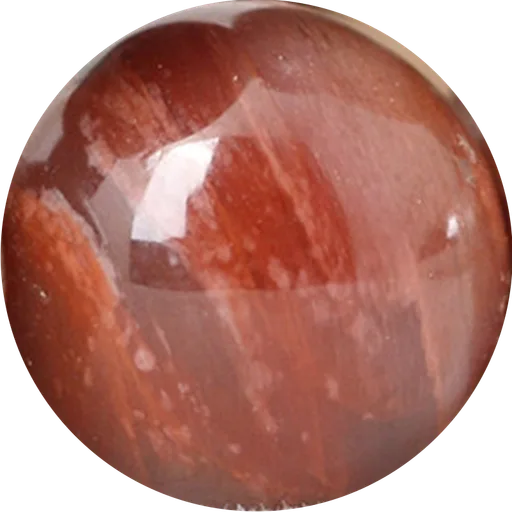 Petrified Wood