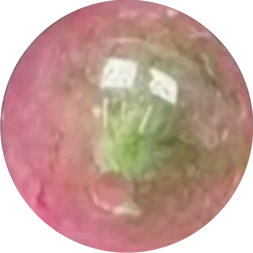 Watermelon Tourmaline